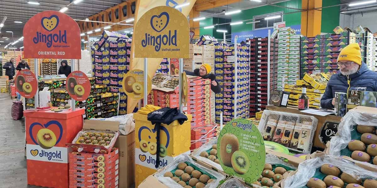 «Jingold, le promozioni spingono le vendite in tutto il mondo»